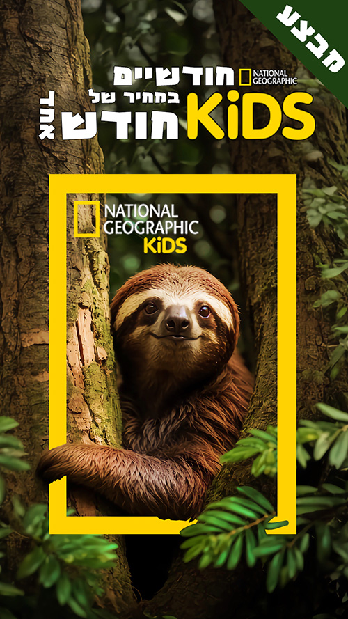 JM - National Geographic Kids ads Design
