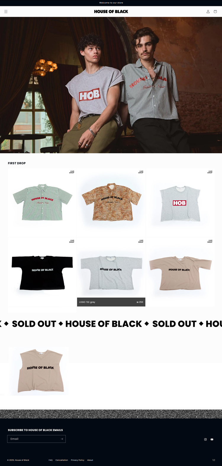 Shopify E-Commerce Website Design.