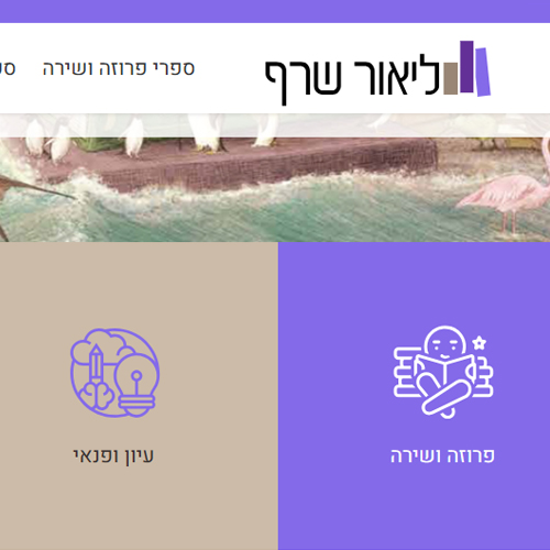 Company E-Commerce Website Design